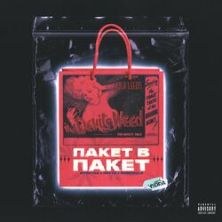 Cover of пакет в пакет