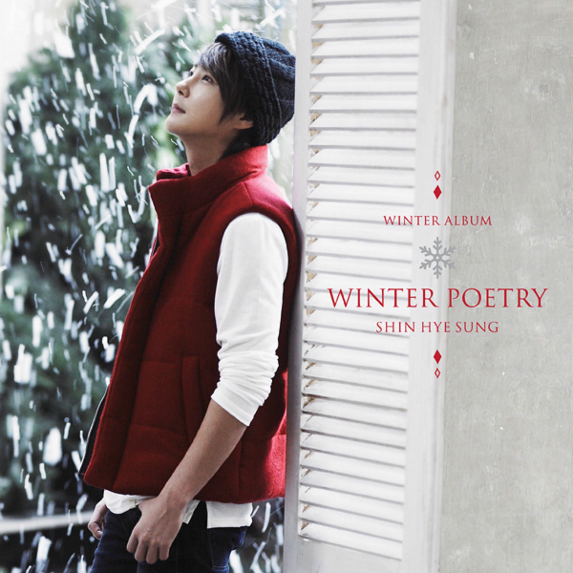 シン・ヘソン The Year&#39;s Journey (2012 - 2013 Shin Hye Sung Concert) (2DVD 신혜성 - 2012-2013 Shin Hye Sung Concert The Year's Journey