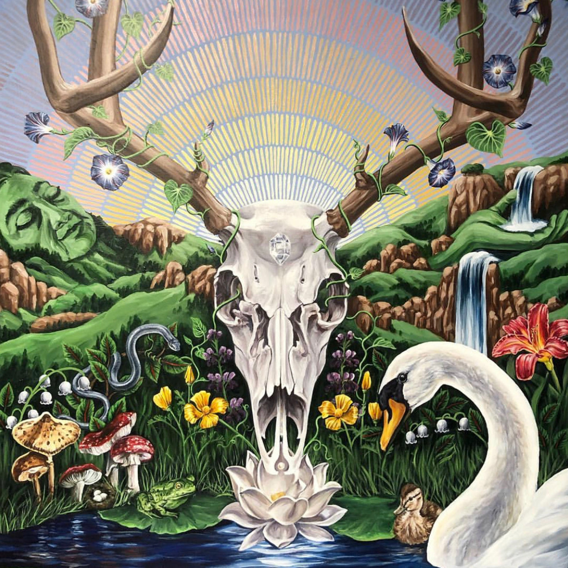 Album cover of Canta