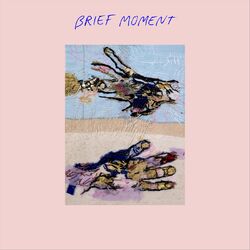 Cover of Brief Moment