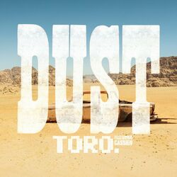 Cover of Dust (Rework)