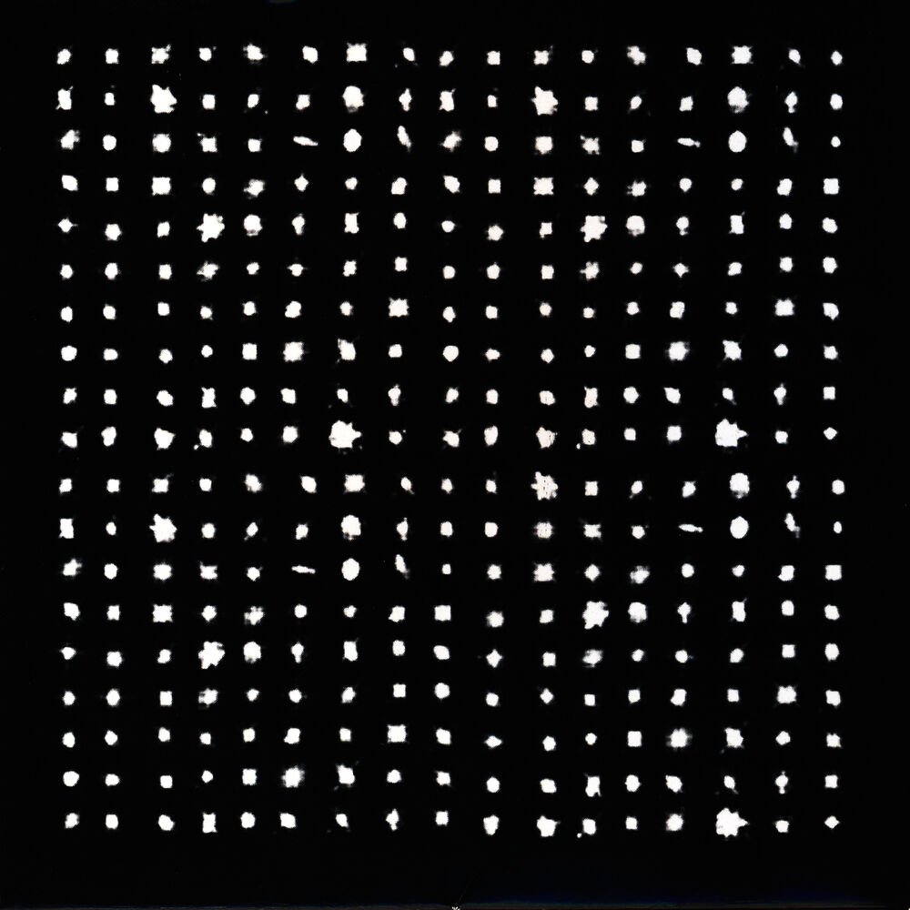 Picture of White