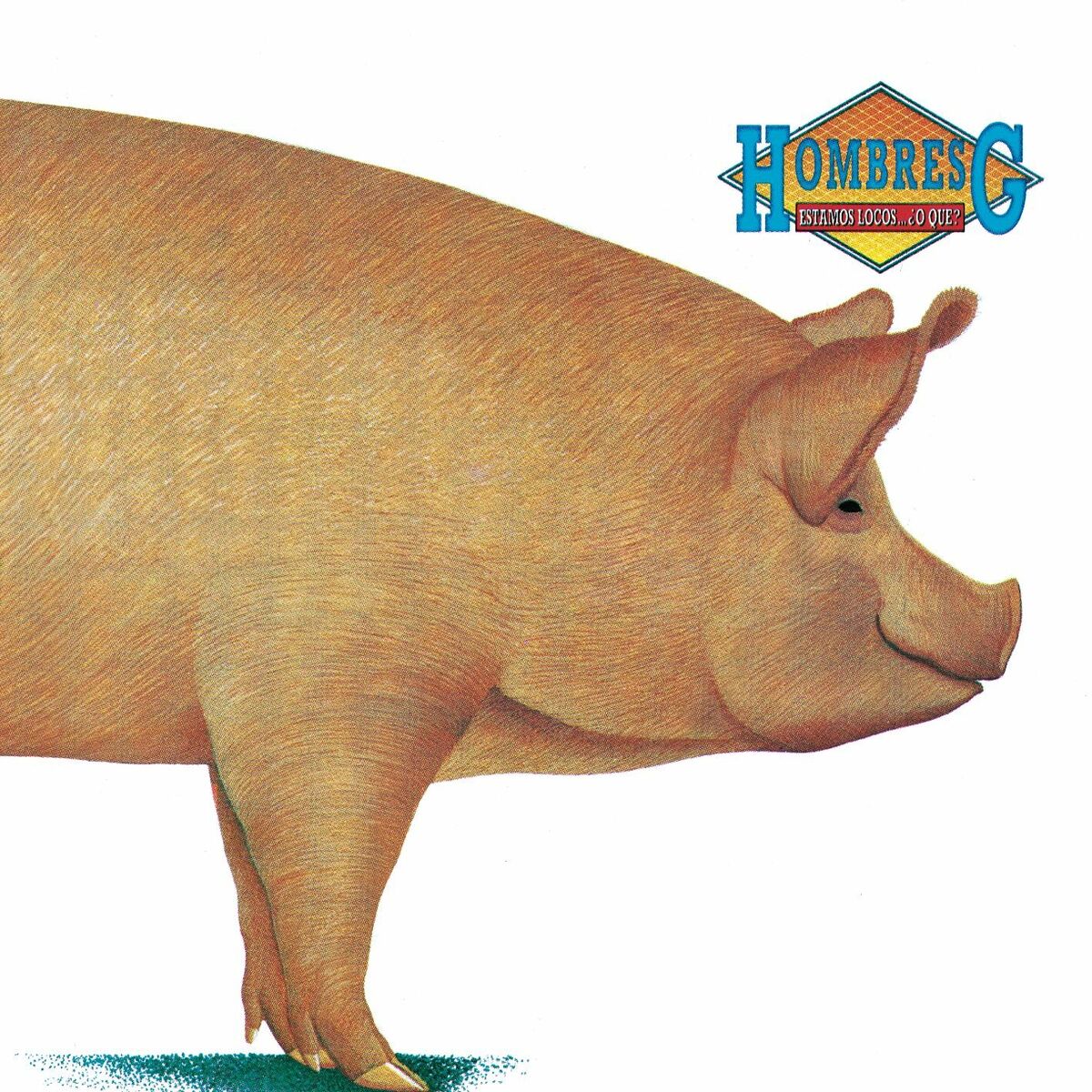 Album cover of Huellas en la baja mar
