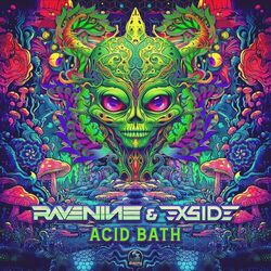 Cover of Acid Bath