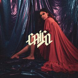Cover of Caigo