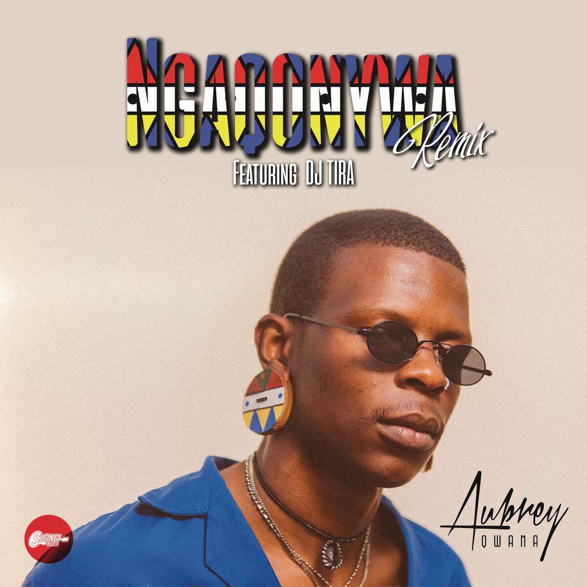 Album cover of Ngaqonywa (Remix) (feat. DJ Tira)