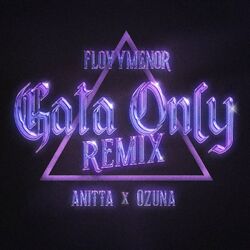 Cover of Gata Only (Remix)