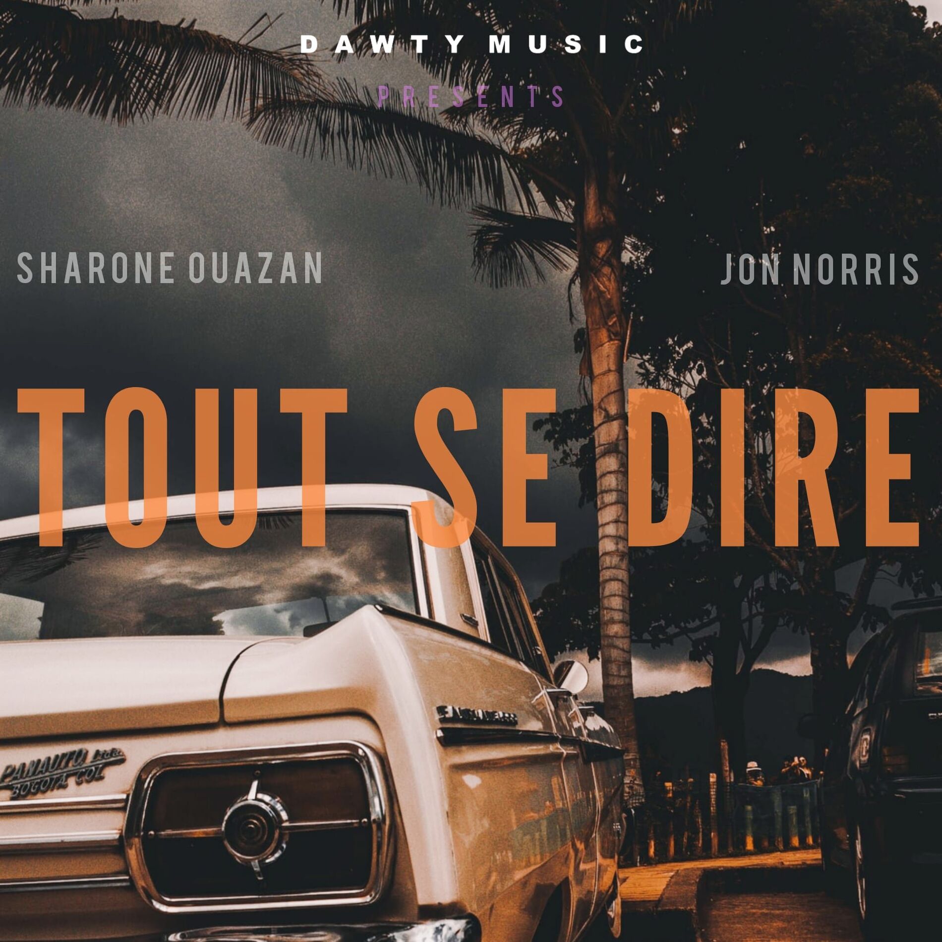 Album cover of Tout se dire
