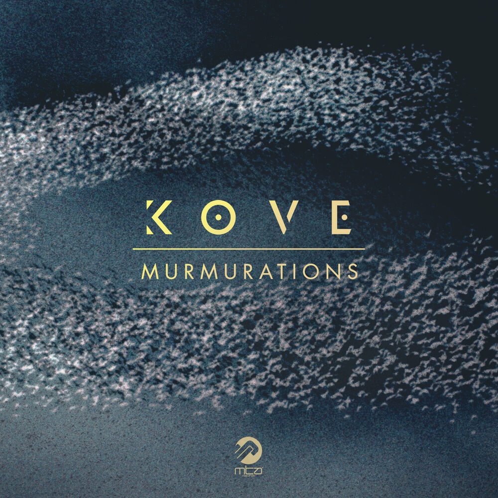 Picture of Murmurations