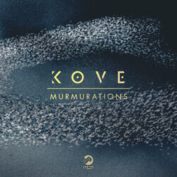 Cover of Murmurations