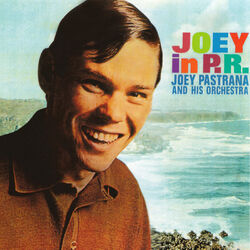 Cover of Joey In P.R.