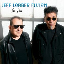 Cover of The Drop