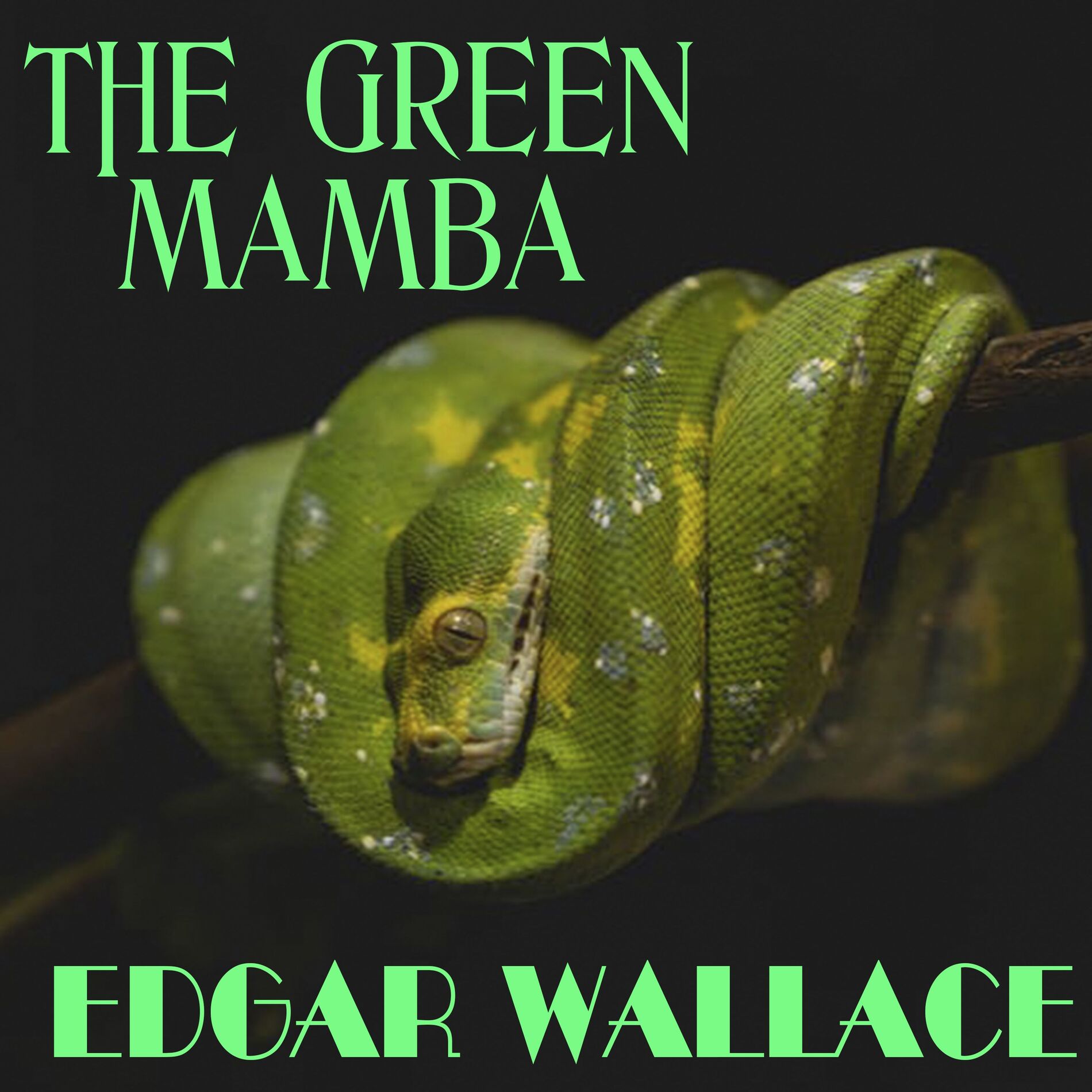 Album cover of The Green Mamba