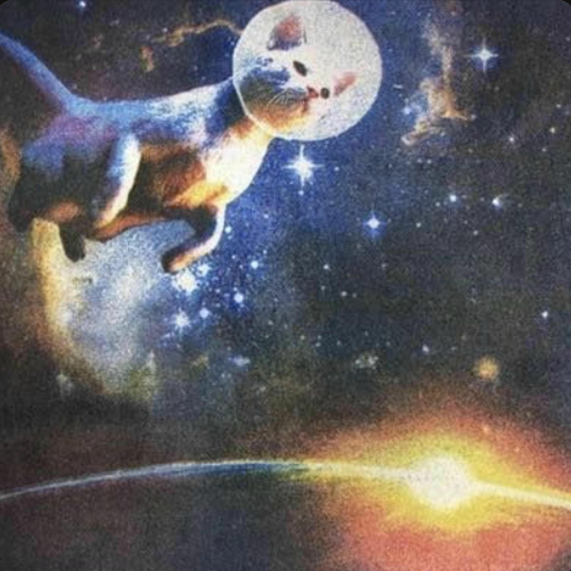 Album cover of star1
