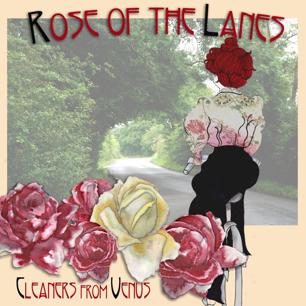 Picture of Rose of the Lanes