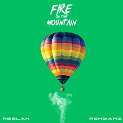 Cover of Fire on the Mountain