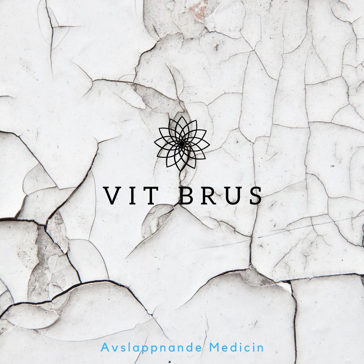Album cover of Vitt Brus för Sömn, Studerande, Avkopplande