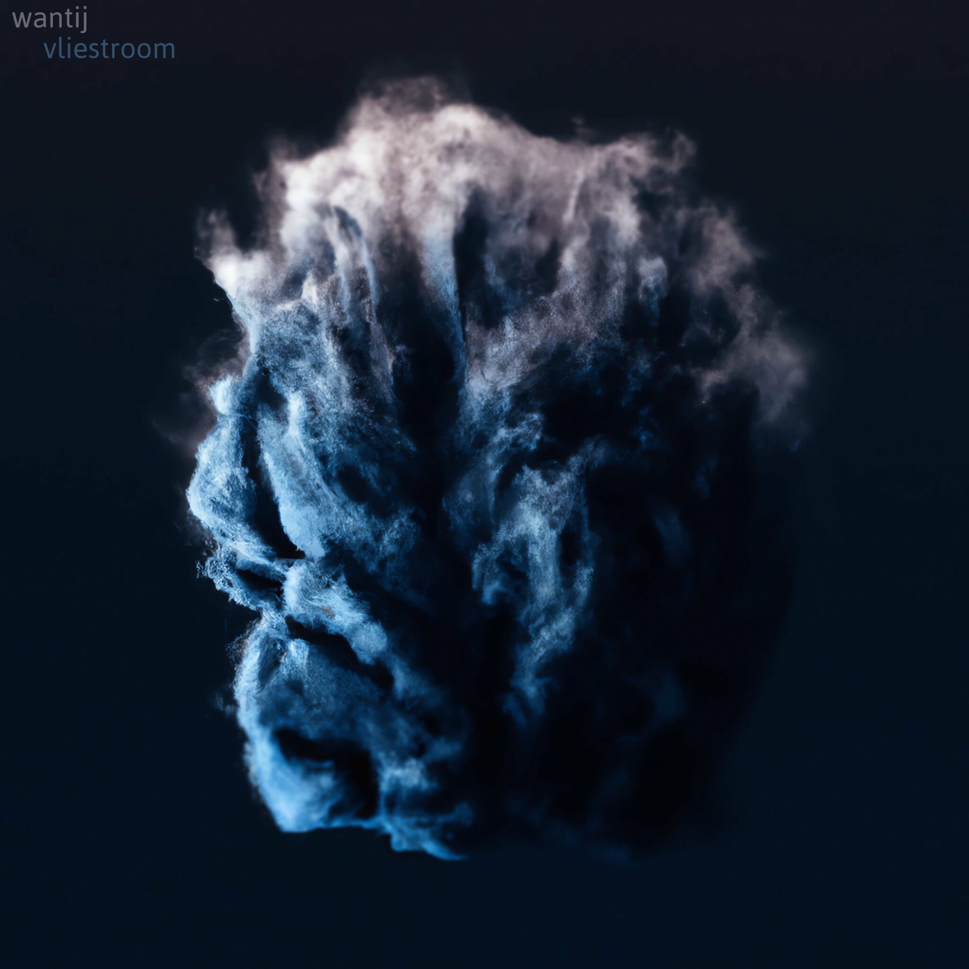 Album cover of vliestroom