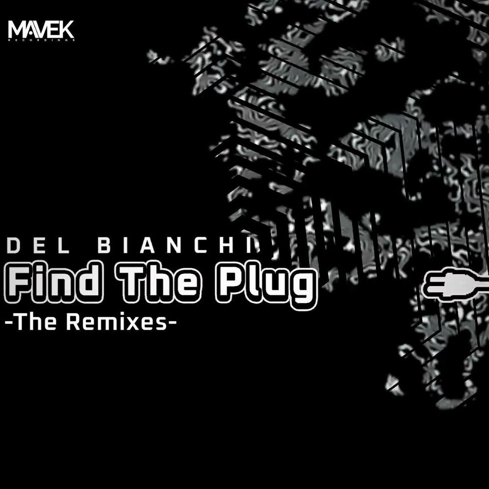 Picture of Find The Plug Remixes