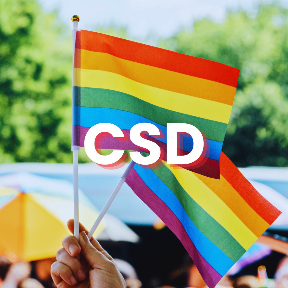 Album cover of CSD