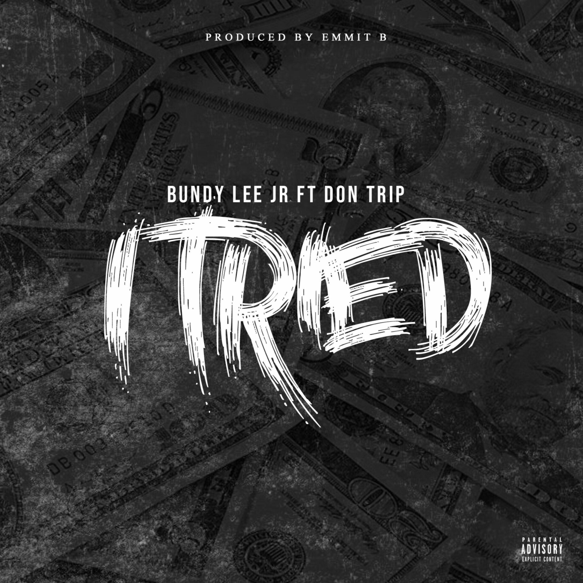 Album cover of I've Tried (feat. Don Trip)