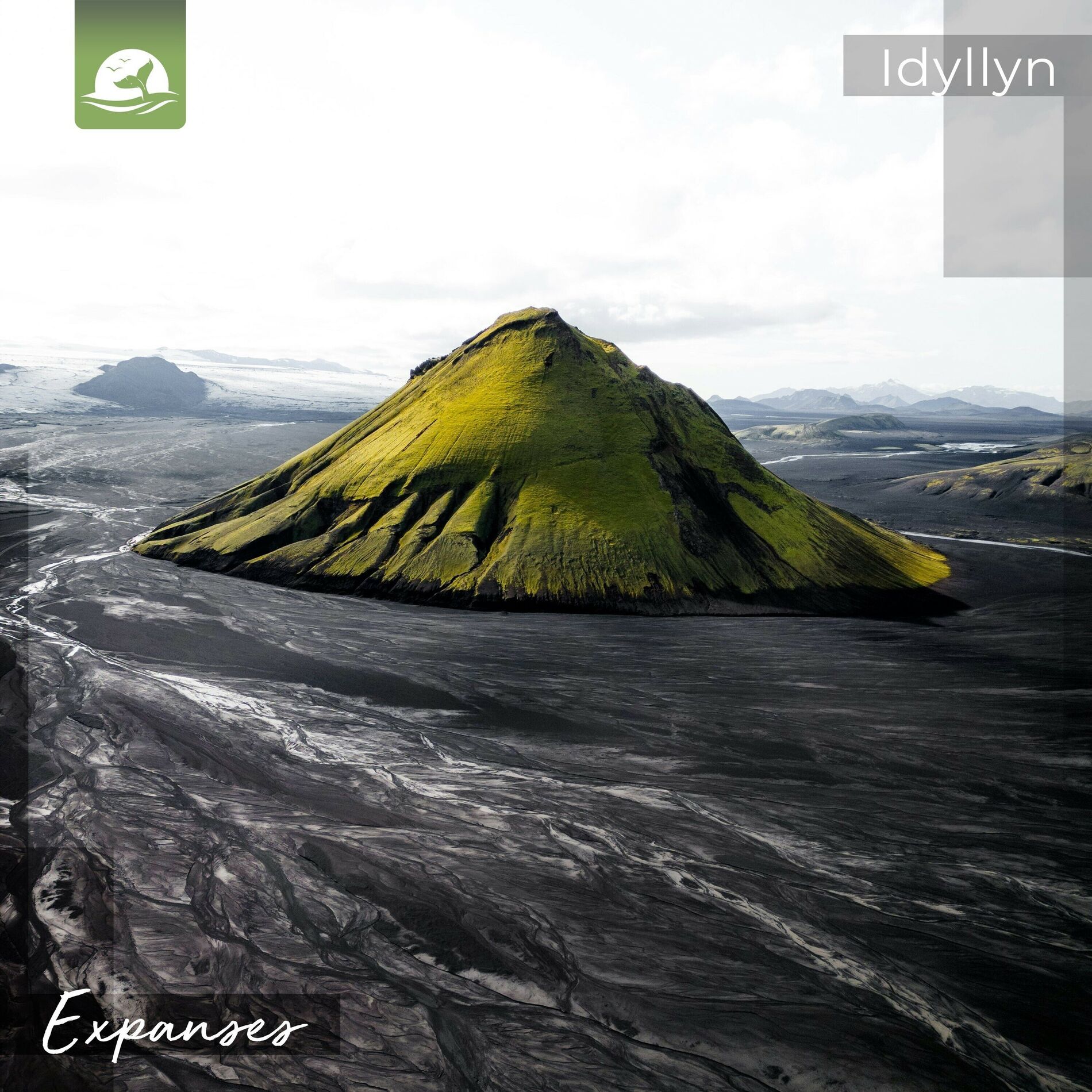 Album cover of Expanses
