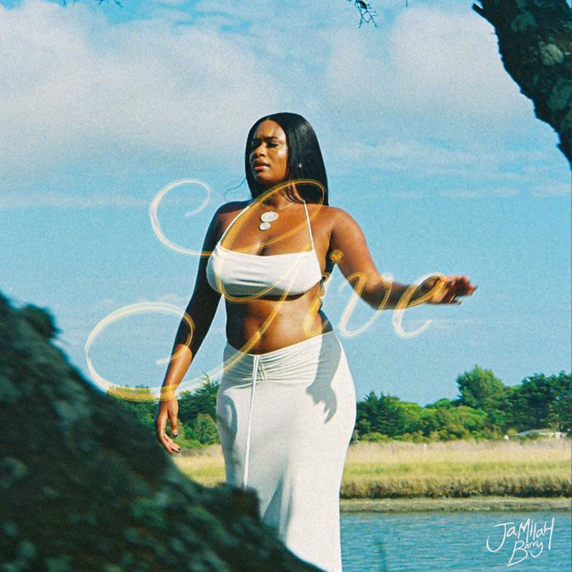 Album cover of Give