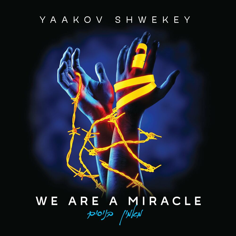 Picture of We Are a Miracle