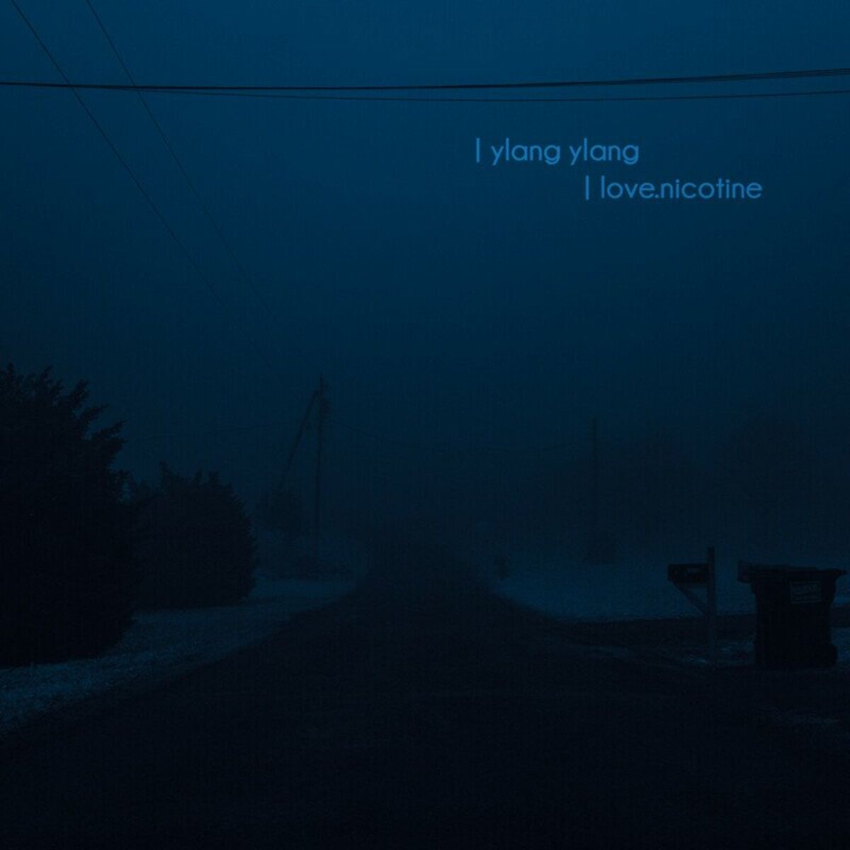 Album cover of ylang ylang (slowed + reverb)