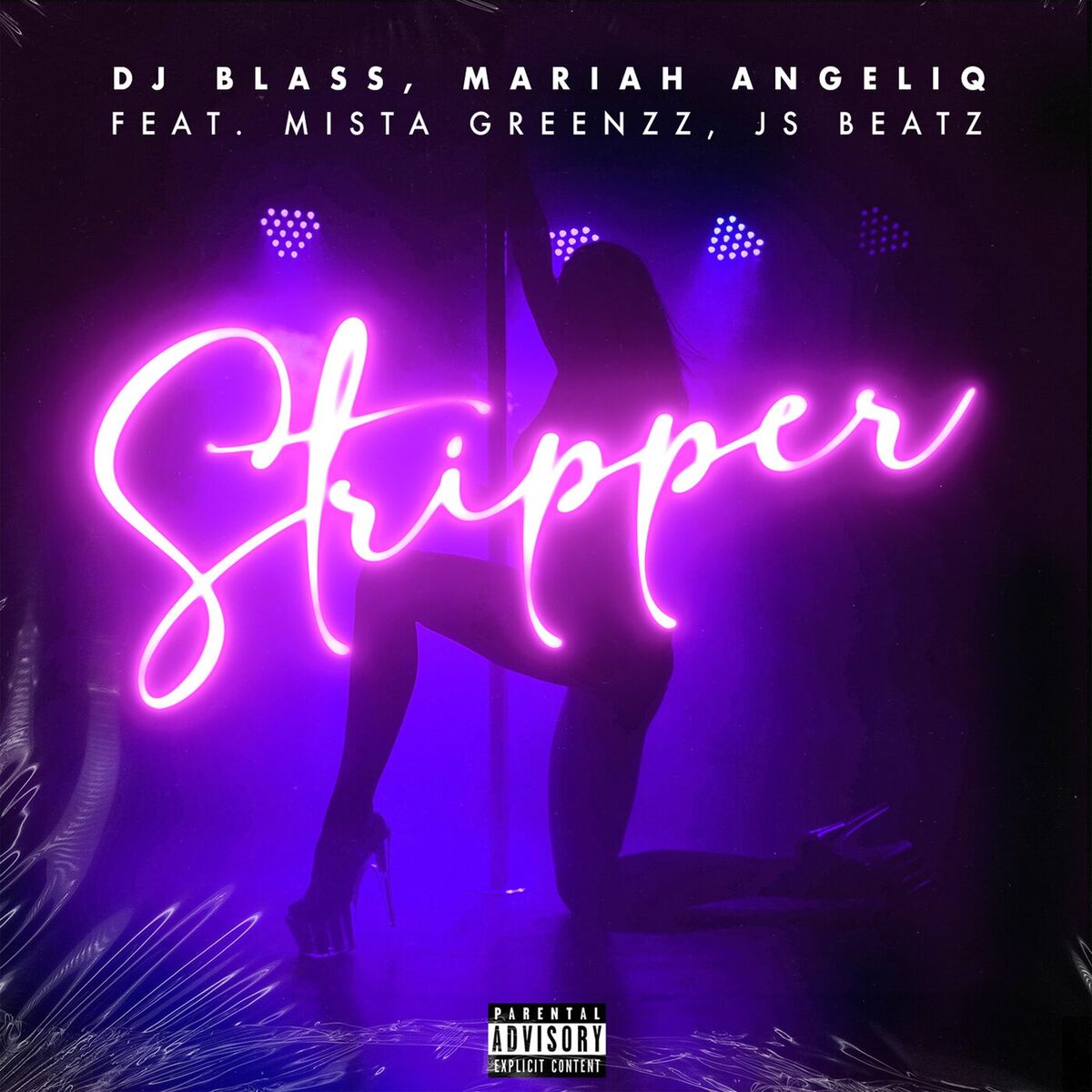 Album cover of Stripper