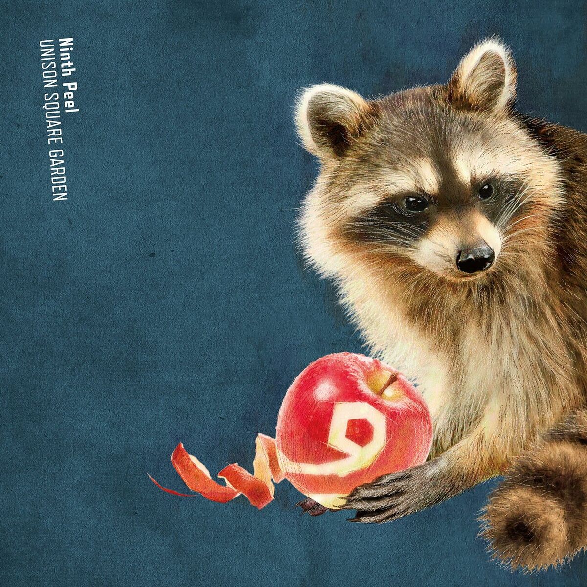 Album cover of Ninth Peel