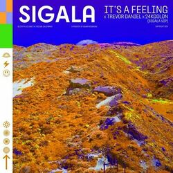 Cover of It's A Feeling (Sigala VIP Mix)