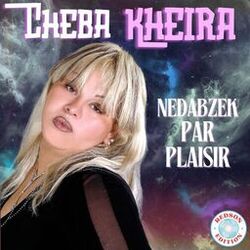 Cover of Nedabzek par plaisir