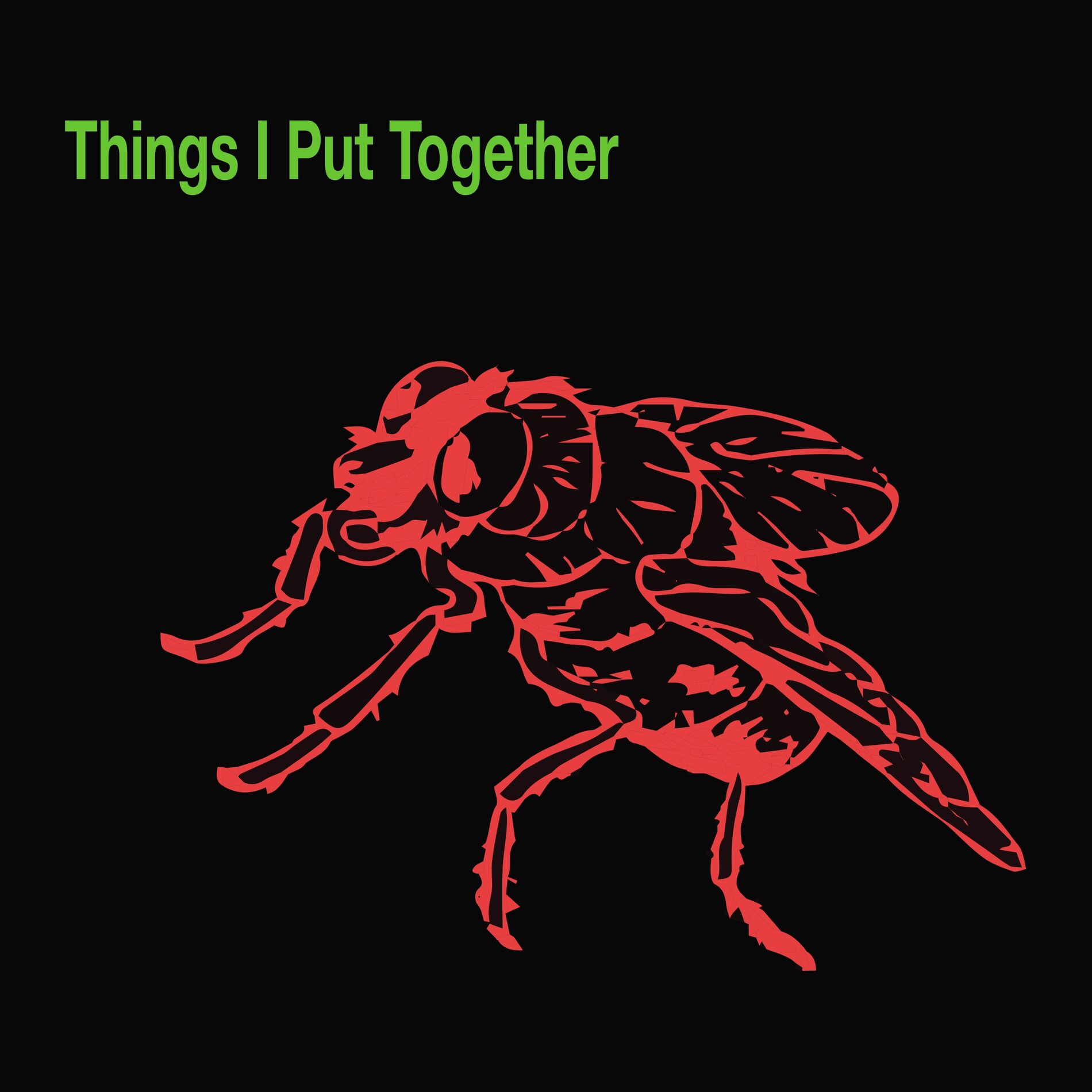 Album cover of Things I Put Together