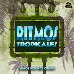 Cover of Vamos Por Mas Cumbia
