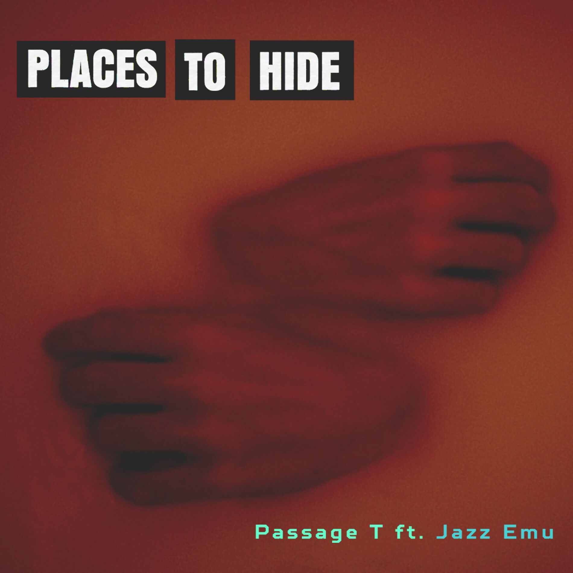 Album cover of Places To Hide