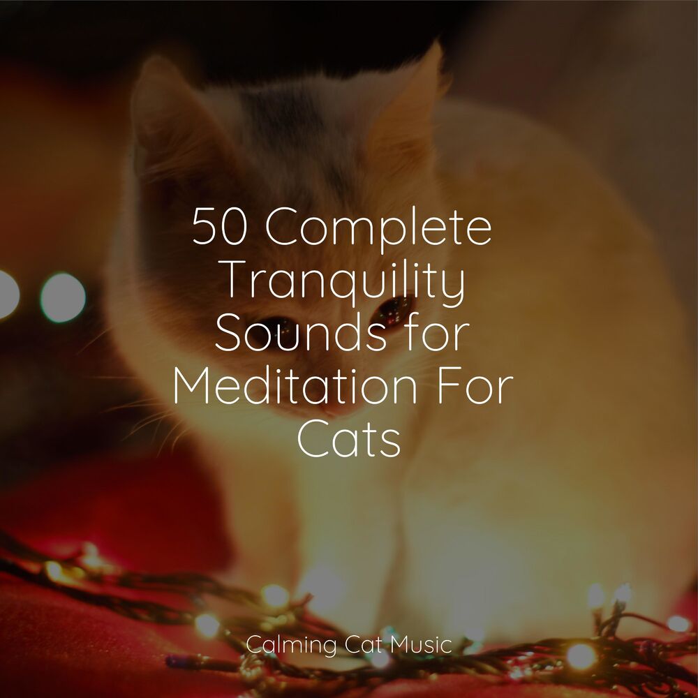 Picture of 50 Complete Tranquility Sounds for Meditation For Cats