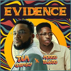 Cover of Evidence