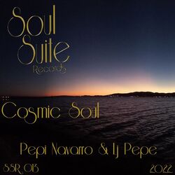 Cover of Cosmic Soul
