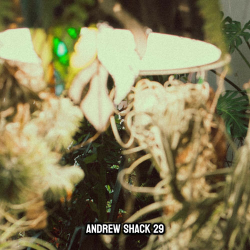 29