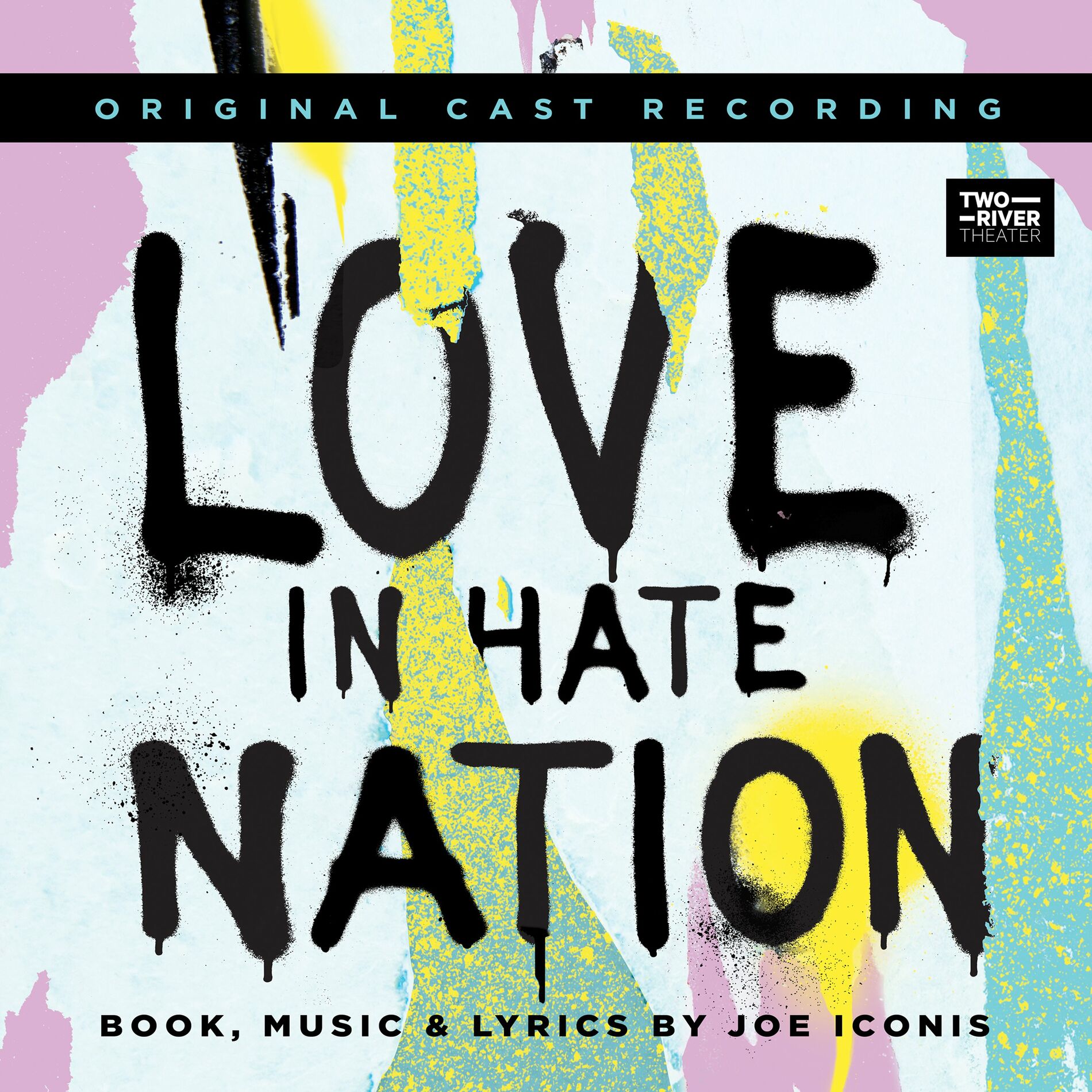 Album cover of Love in Hate Nation (Original Cast Recording)