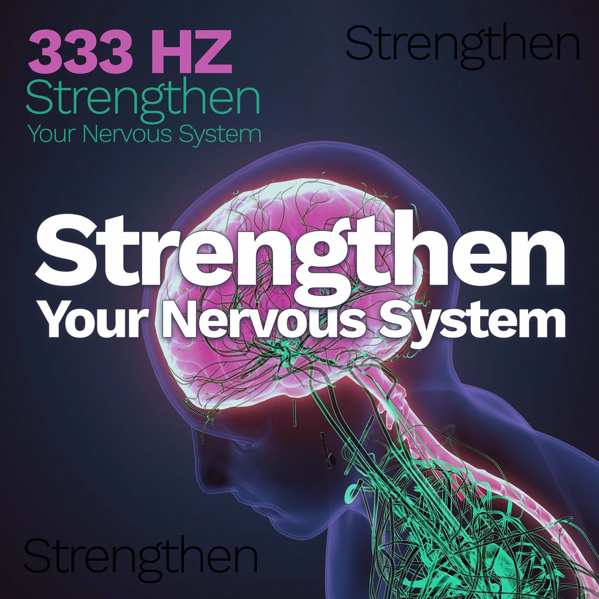 Album cover of 333 HZ Strengthen Your Nervous System: Instant Relief from Anxiety & Stress, Brain Wave Therapy Music