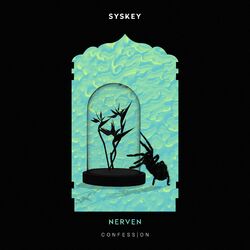 Cover of Nerven