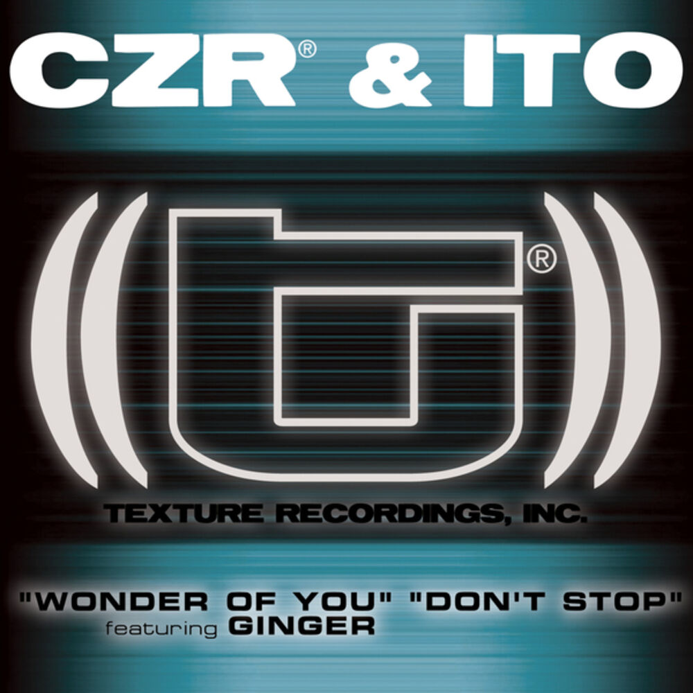 Picture of Wonder of You / Don't Stop