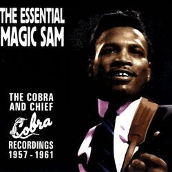 Cover of The Essential Magic Sam