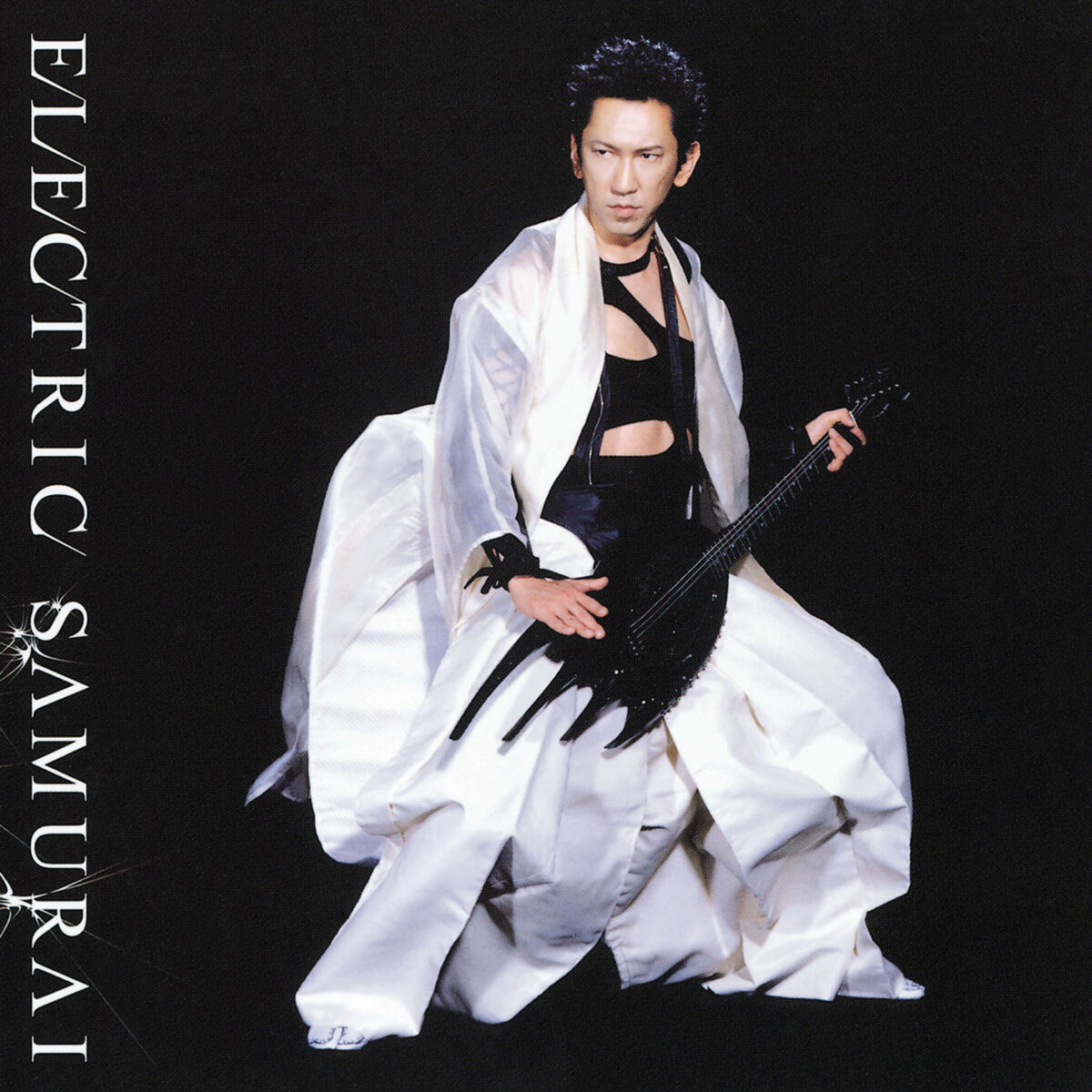 Album cover of Electric Samurai
