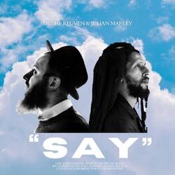Cover of Say