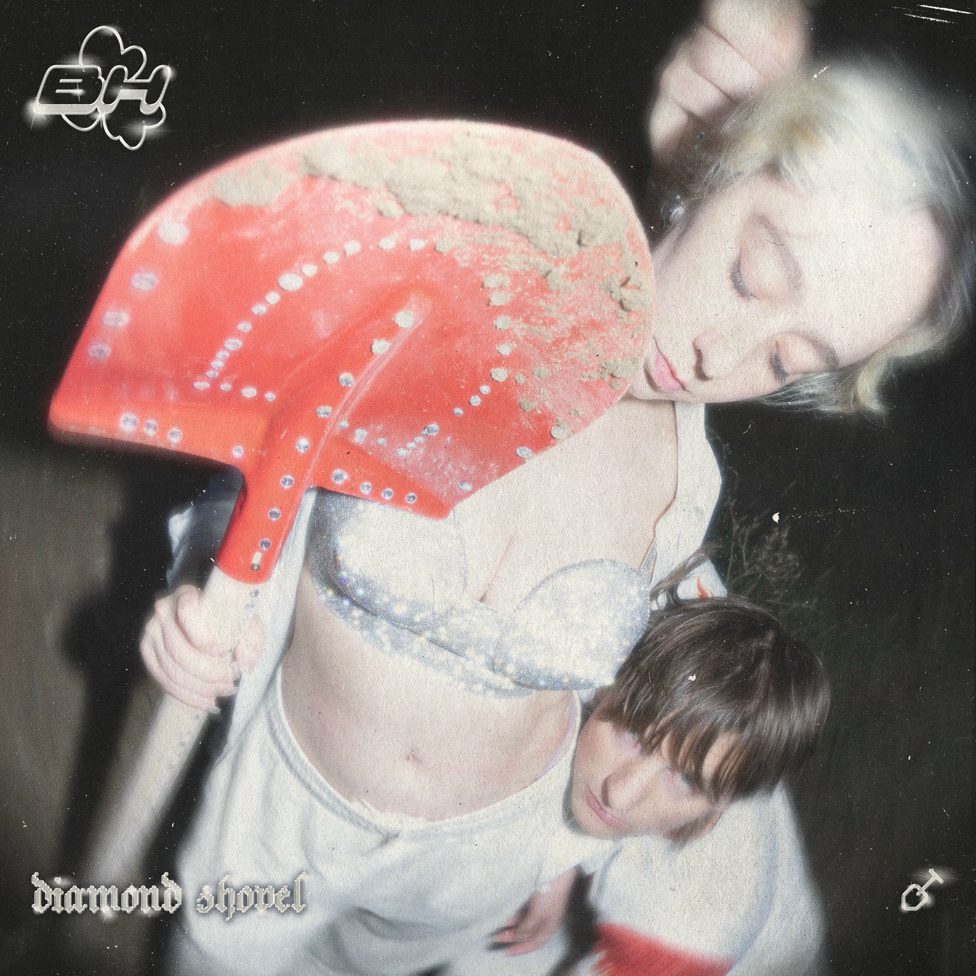 Album cover of Diamond Shovel