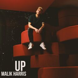 Cover of Up