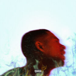 Cover of Platinum Fire (Deluxe)